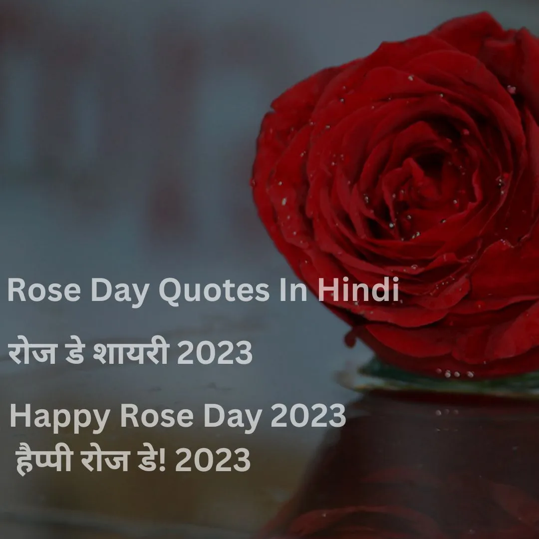 rose-day-quotes-in-hindi-2023-shayari-and-poetry